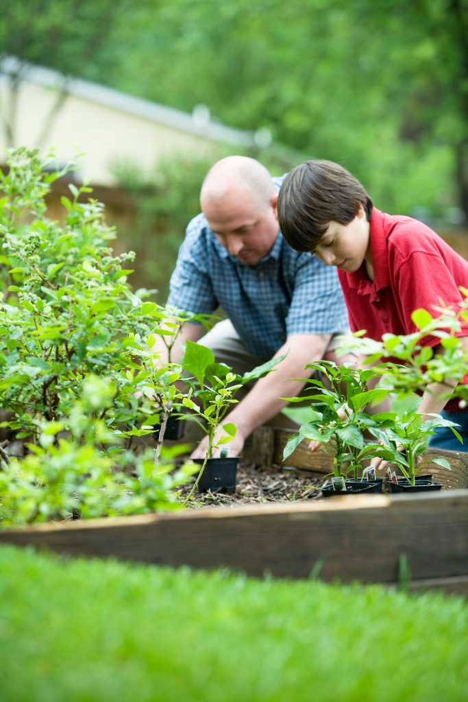 Préparer son jardin