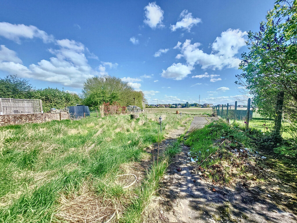 6045240_50813940.jpg