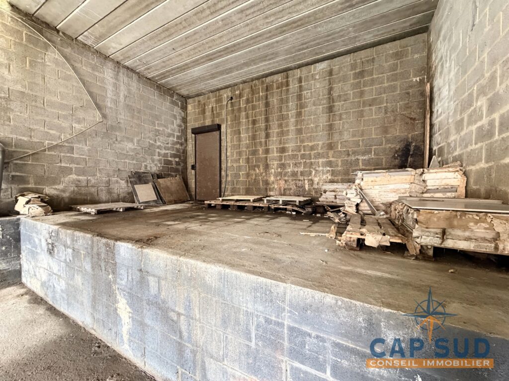 7679542_77572420.jpg