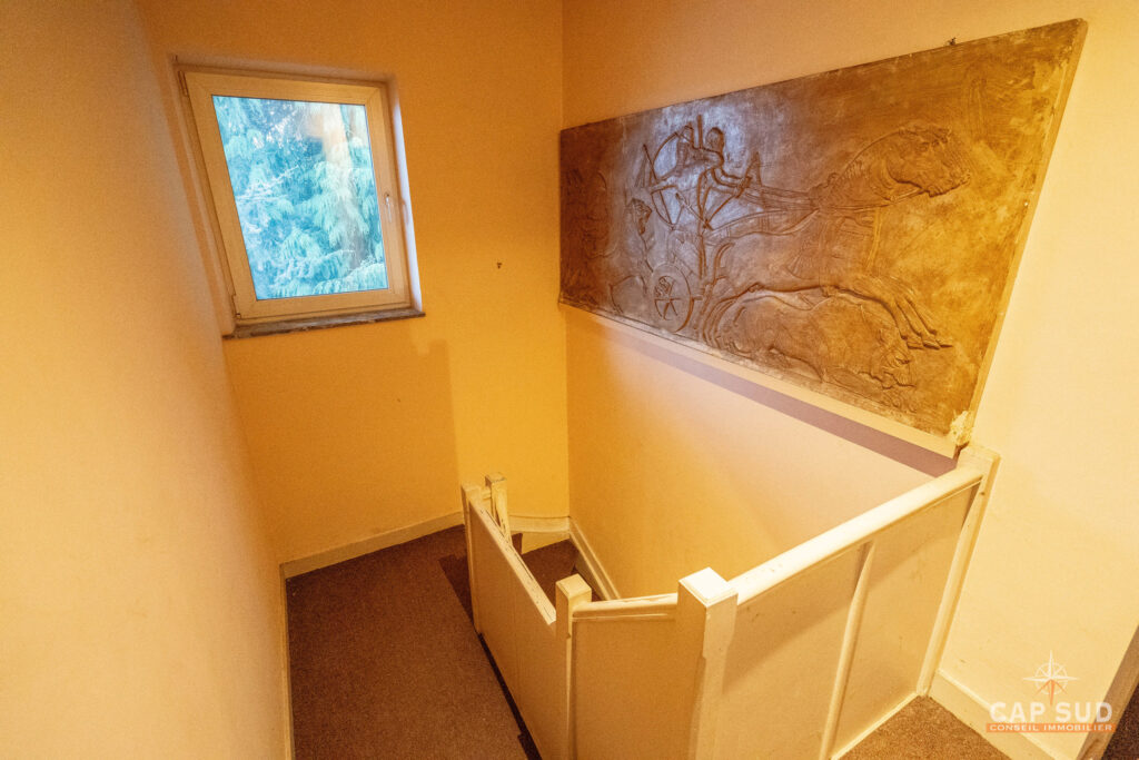 7690527_77527480.jpg