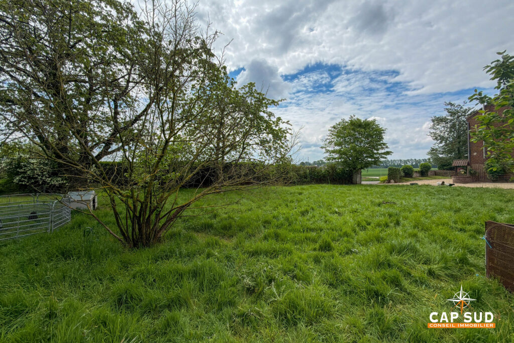 7693061_77564581.jpg