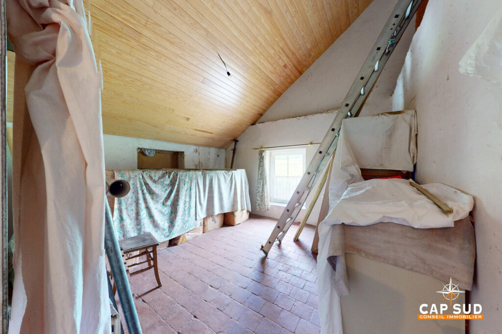 7701707_77776238.jpg
