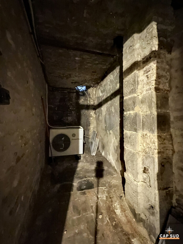 7702544_77786510.jpg