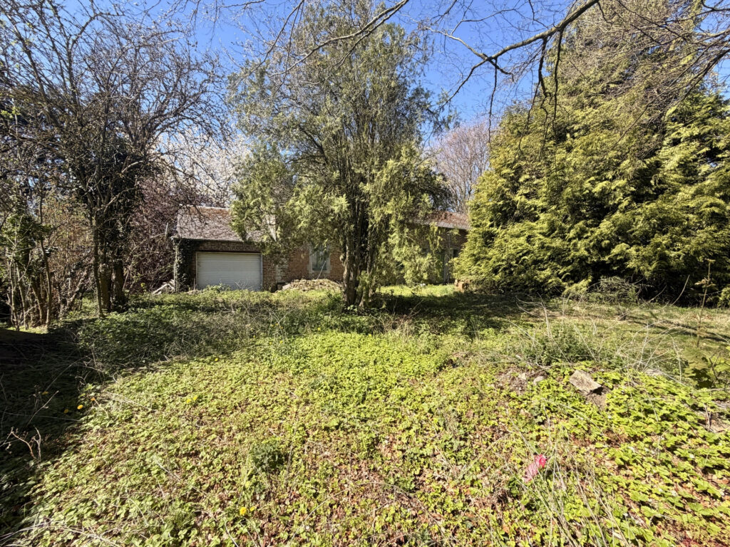 7649352_79114607.jpg