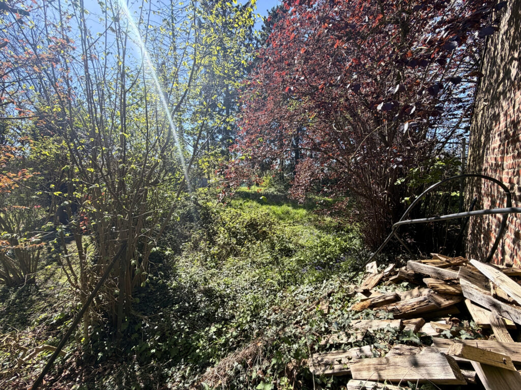 7649352_79114612.jpg
