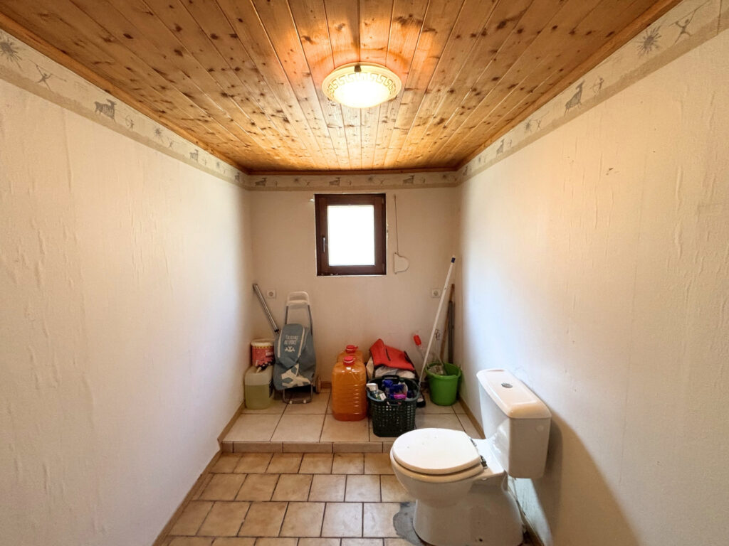 7656742_79182897.jpg