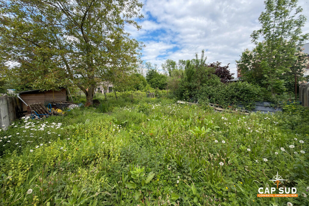 7701702_77700534.jpg