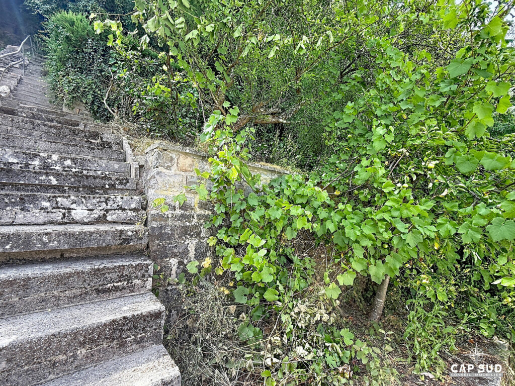 7786376_79731305.jpg
