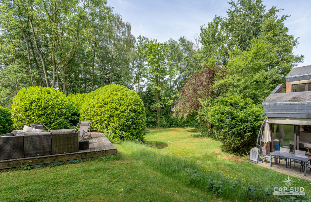 7817239_79805201.jpg