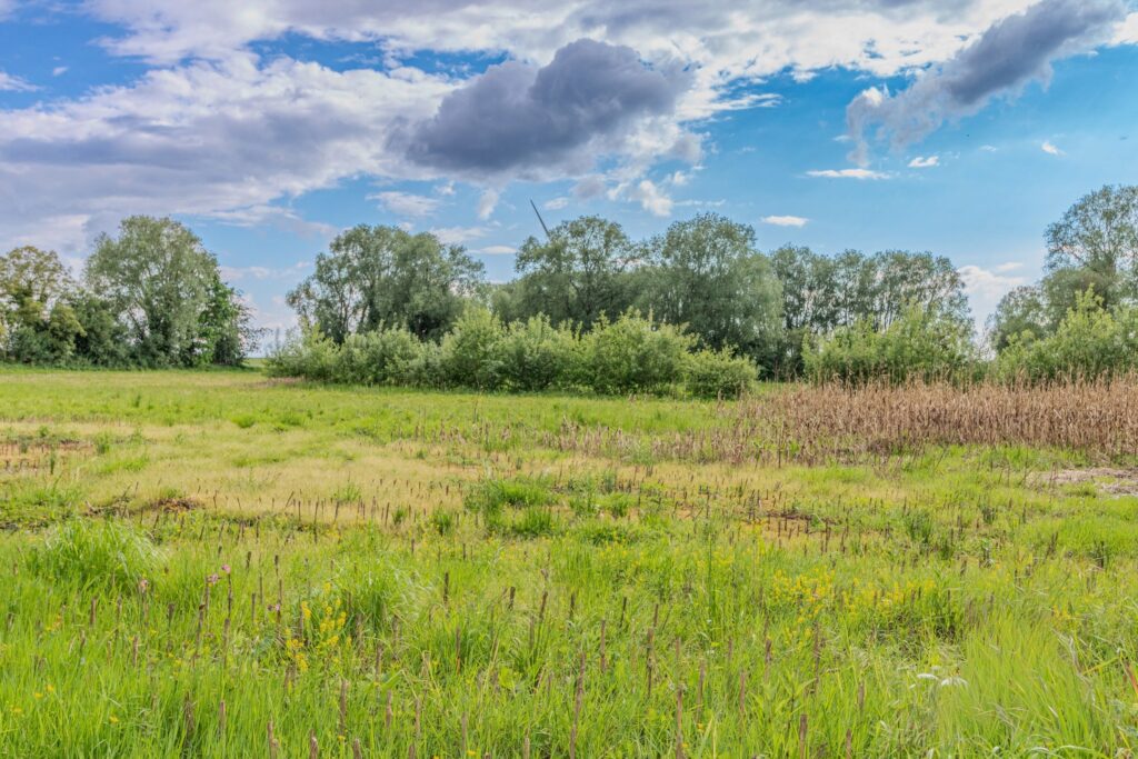 7819836_79835607.jpg