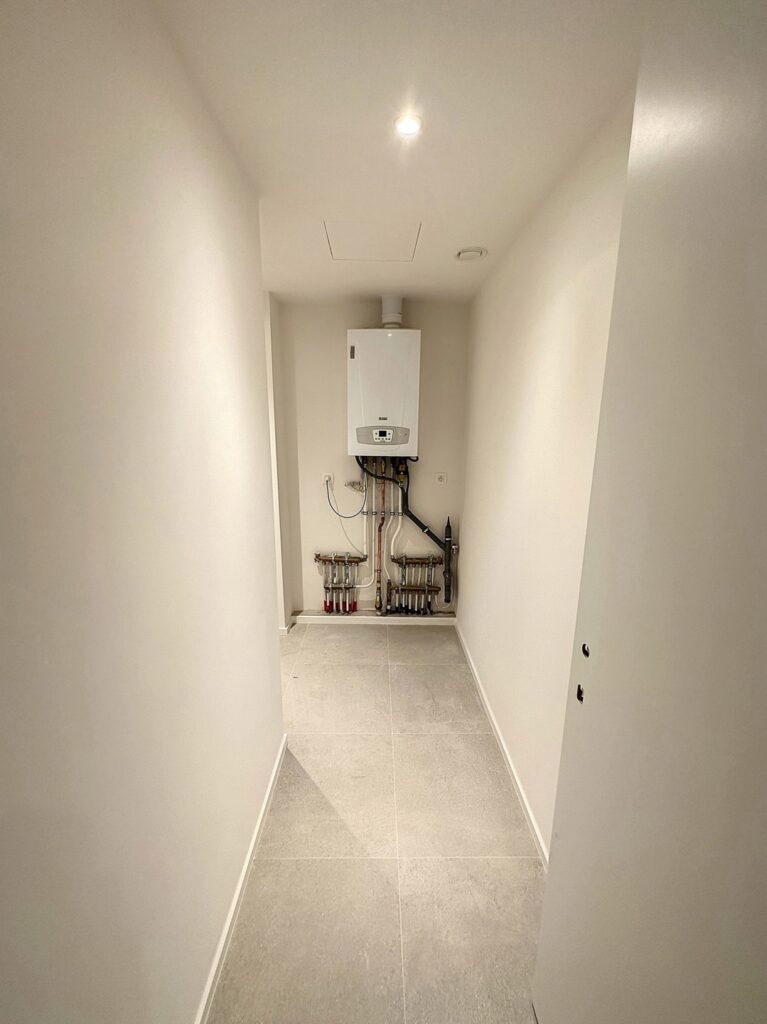 7853282_80308791.jpg