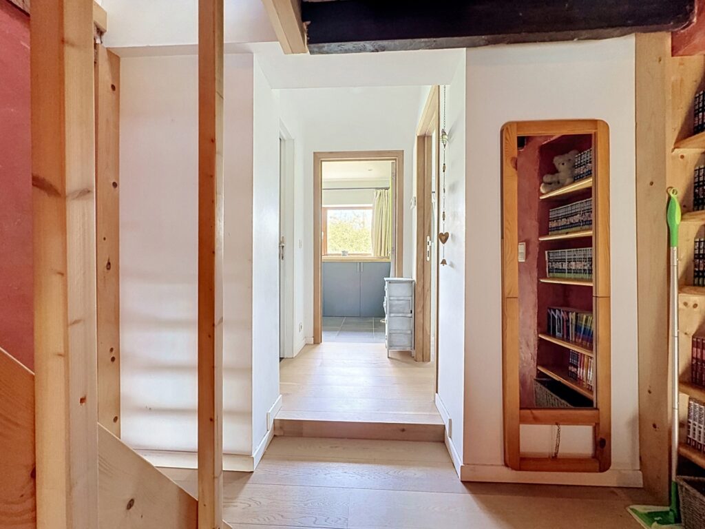 7862660_80489827.jpg