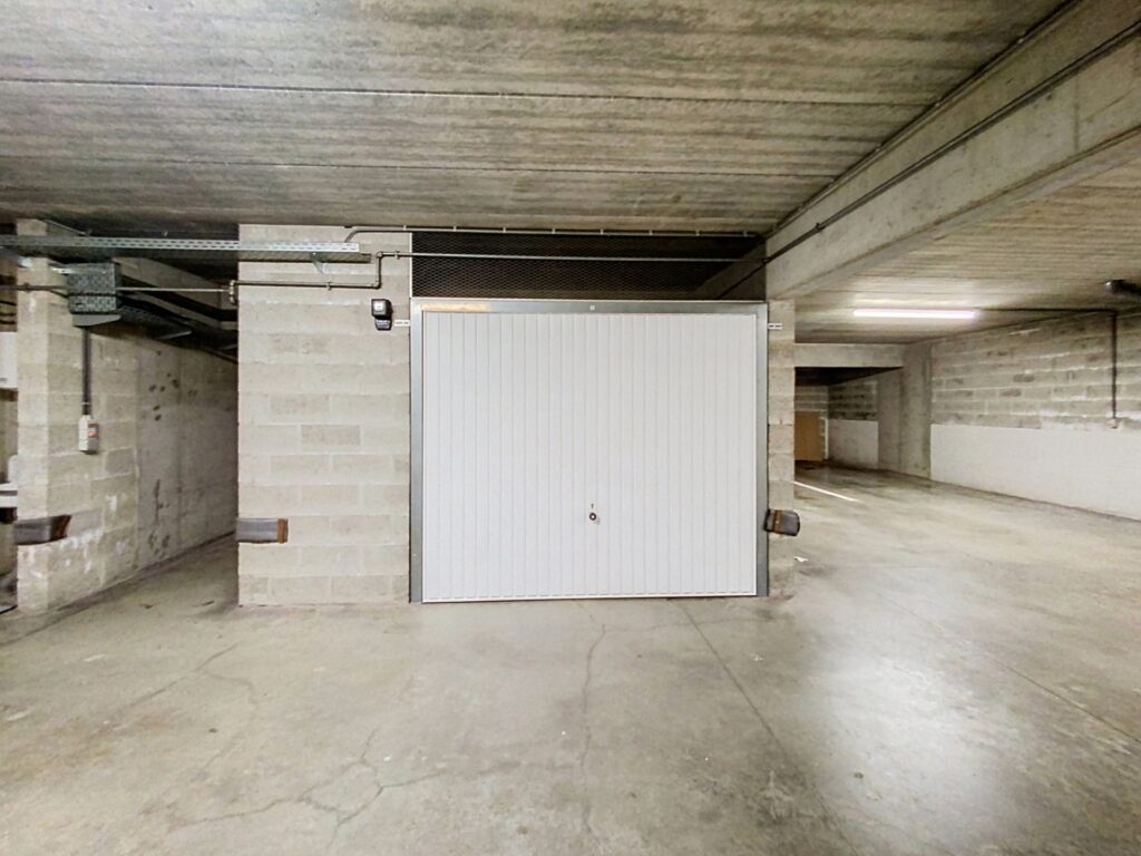 7879157_80775232.jpg