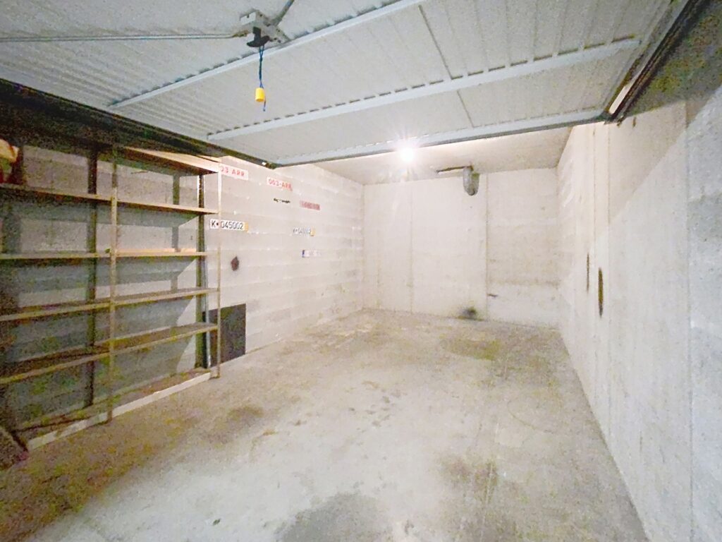 7879157_80775233.jpg