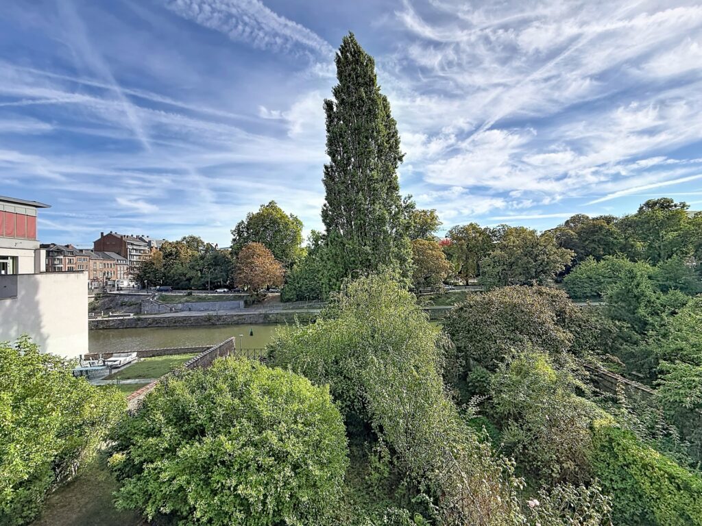 7880110_80726924.jpg