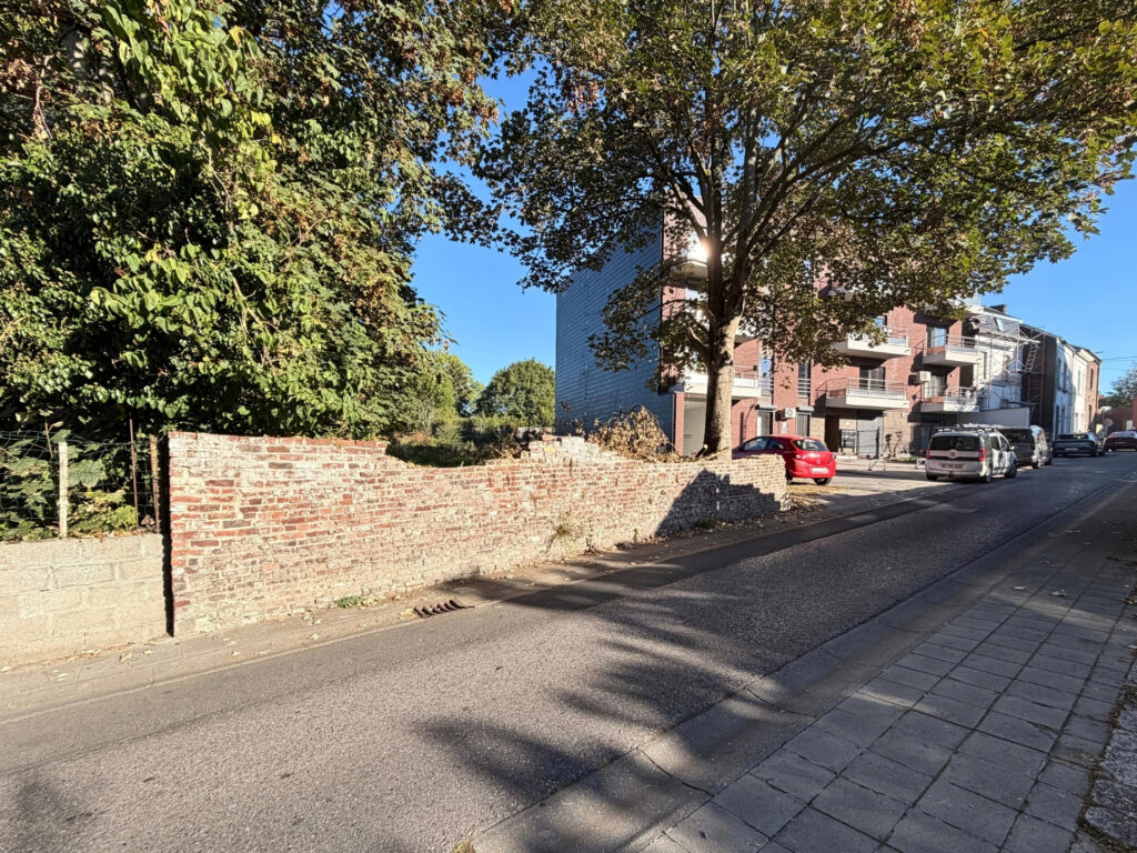 7904110_81155810.jpg