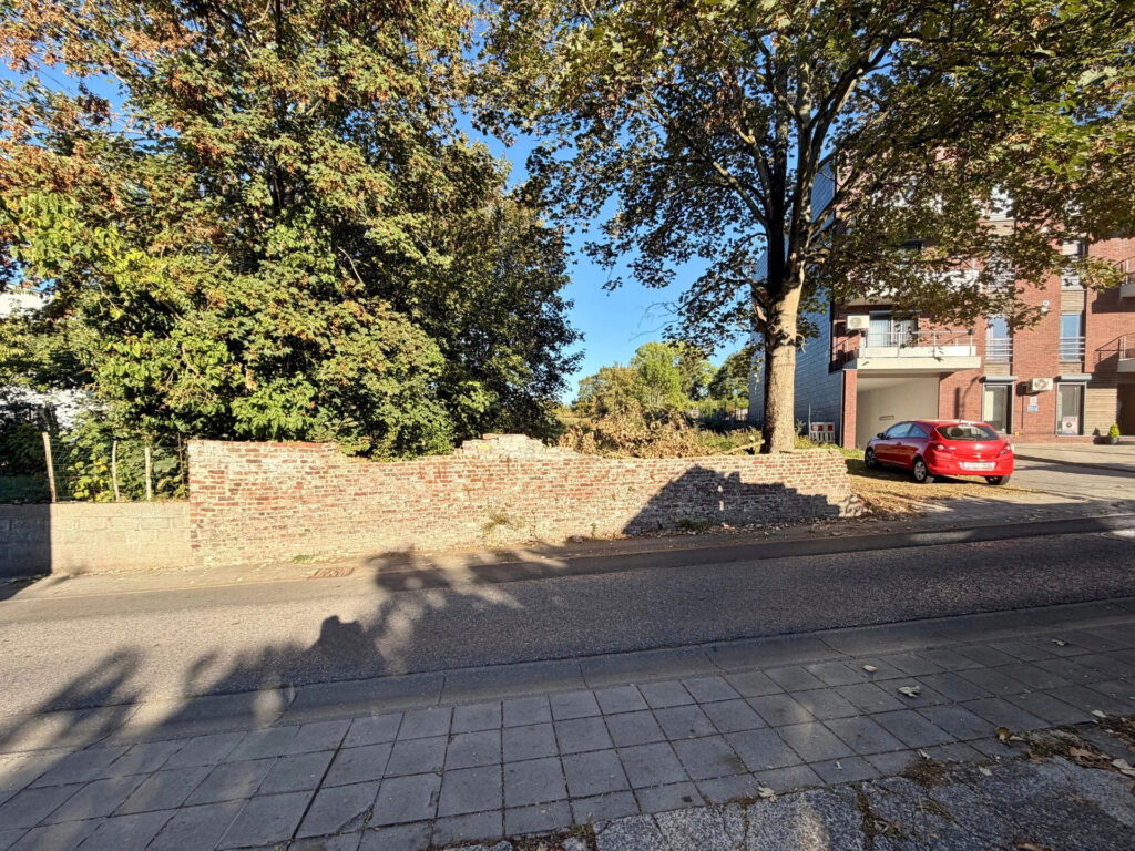 7904110_81155811.jpg