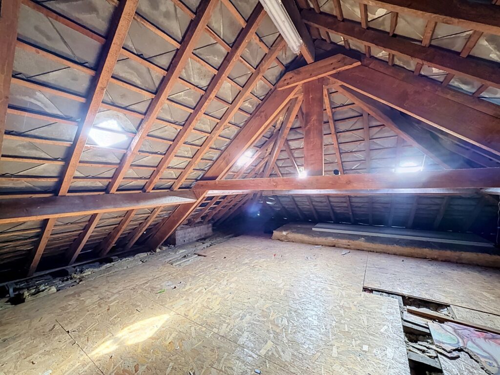 7904955_81170580.jpg